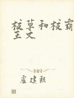 校草和校霸双男主文