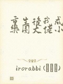 重生后我成了娱乐圈大佬小说