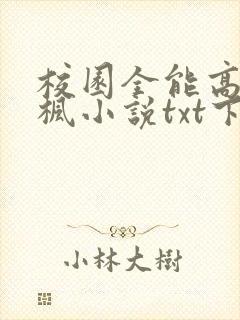 校园全能高手季枫小说txt下载