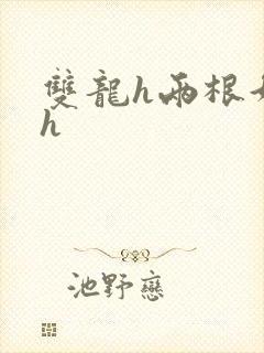 双龙h两根好撑h封面
