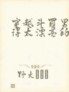 穿越斗罗男主长得太漂亮的小说