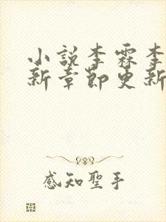 小说李霖李澜最新章节更新情况