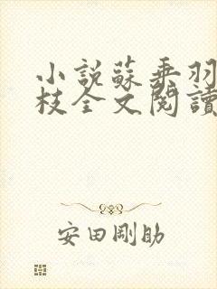 小说苏乘羽许南枝全文阅读
