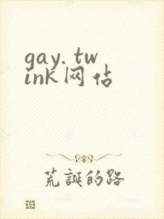 gay. twink网站封面