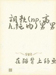 调教(np,高h,纯肉)男男封面