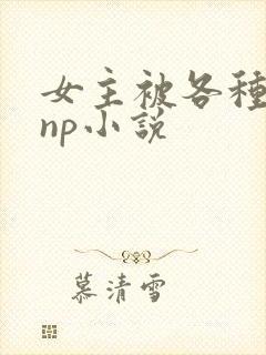 女主被各种淫玩np小说