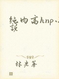 纯肉高hnp小说