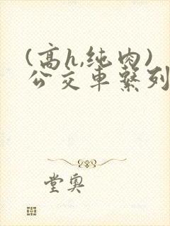 (高h,纯肉)公交车系列