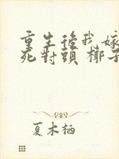 重生后我嫁给了死对头 椰子絮