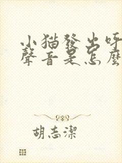 小猫发出呼呼的声音是怎么回事