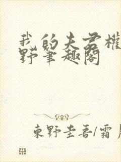 我的夫君权倾朝野笔趣阁