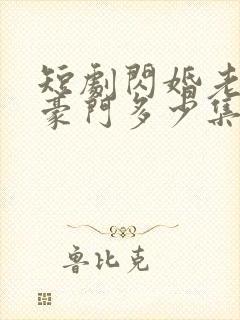 短剧闪婚老公是豪门多少集