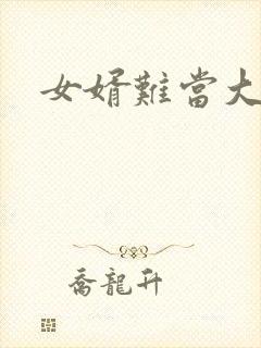 女婿难当大结局封面