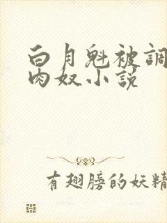 白月魁被调教成肉奴小说
