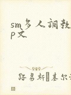 sm多人调教np文封面