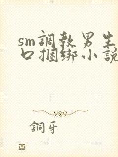 sm调教男生重口捆绑小说封面