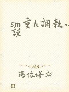 sm重h调教小说