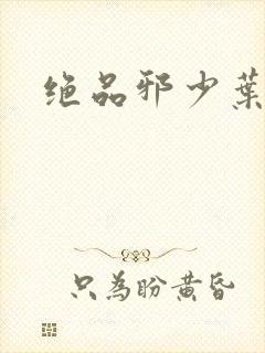 绝品邪少叶潇