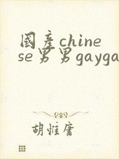 国产chinese男男gaygayvideo封面