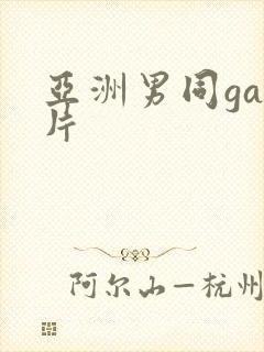 亚洲男同gay片封面