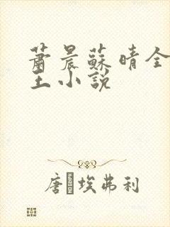萧晨苏晴全能兵王小说