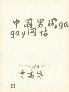中国男同gaygay网站