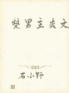 双男主爽文.