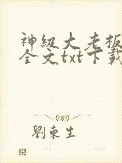 神级大老板下载全文txt下载
