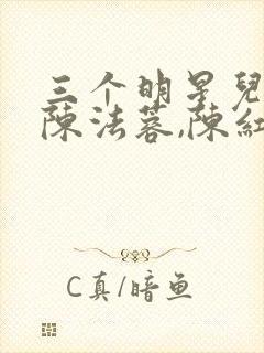 三个明星儿媳,陈法蓉,陈红的小说
