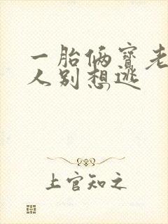 一胎俩宝老婆大人别想逃