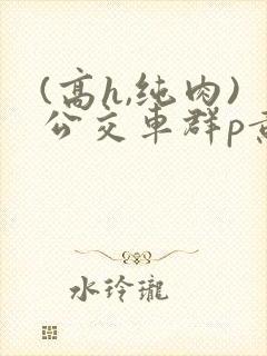 (高h,纯肉)公交车群p黄文