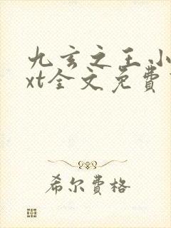 九玄之王小说txt全文免费下载