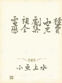 电视剧山楂树之恋全集免费观看35集