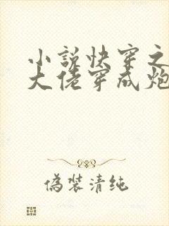 小说快穿之满级大佬穿成炮灰后