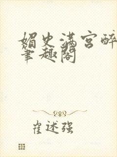 媚史满宫醉小说笔趣阁