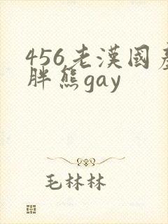 456老汉国产胖熊gay