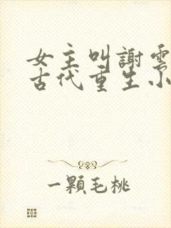 女主叫谢云初的古代重生小说