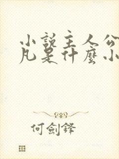 小说主人公林不凡是什么小说