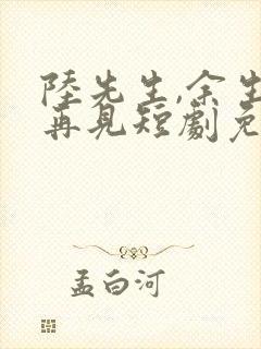 陆先生,余生不再见短剧免费