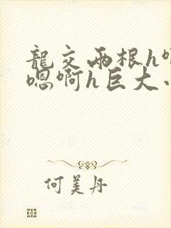 龙交两根h啊～嗯啊h巨大小说