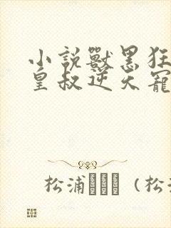 小说兽黑狂妃:皇叔逆天宠免费
