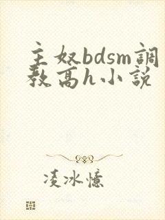 主奴bdsm调教高h小说封面