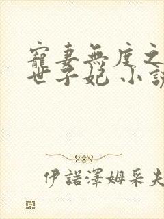 宠妻无度之腹黑世子妃 小说