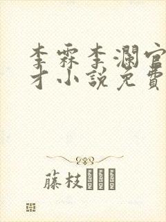 李霖李澜官场奇才小说免费阅读