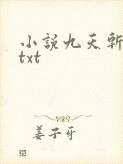 小说九天斩神诀txt