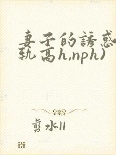 妻子的诱惑(出轨高h,nph)封面