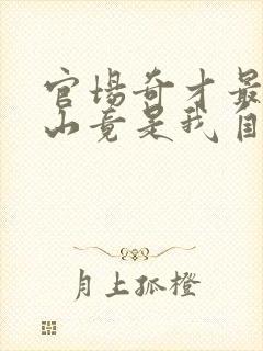 官场奇才最强靠山竟是我自己李澜免费