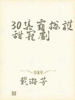 30集霸总护妻甜宠剧
