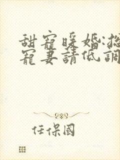 甜宠暖婚:总裁宠妻请低调