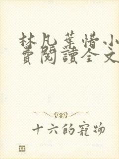 林凡叶惜小说免费阅读全文无弹窗